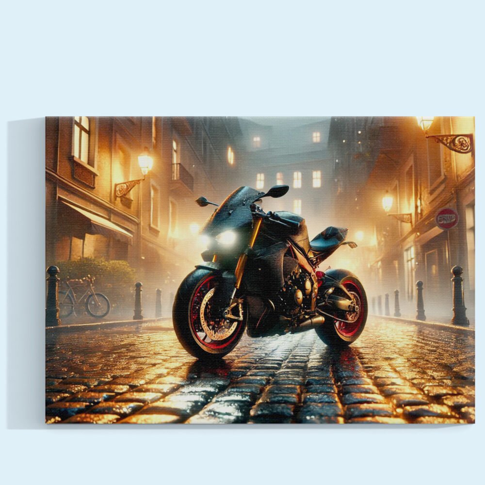 Velocidad entre Sombras Cuadro decorativo personalizado