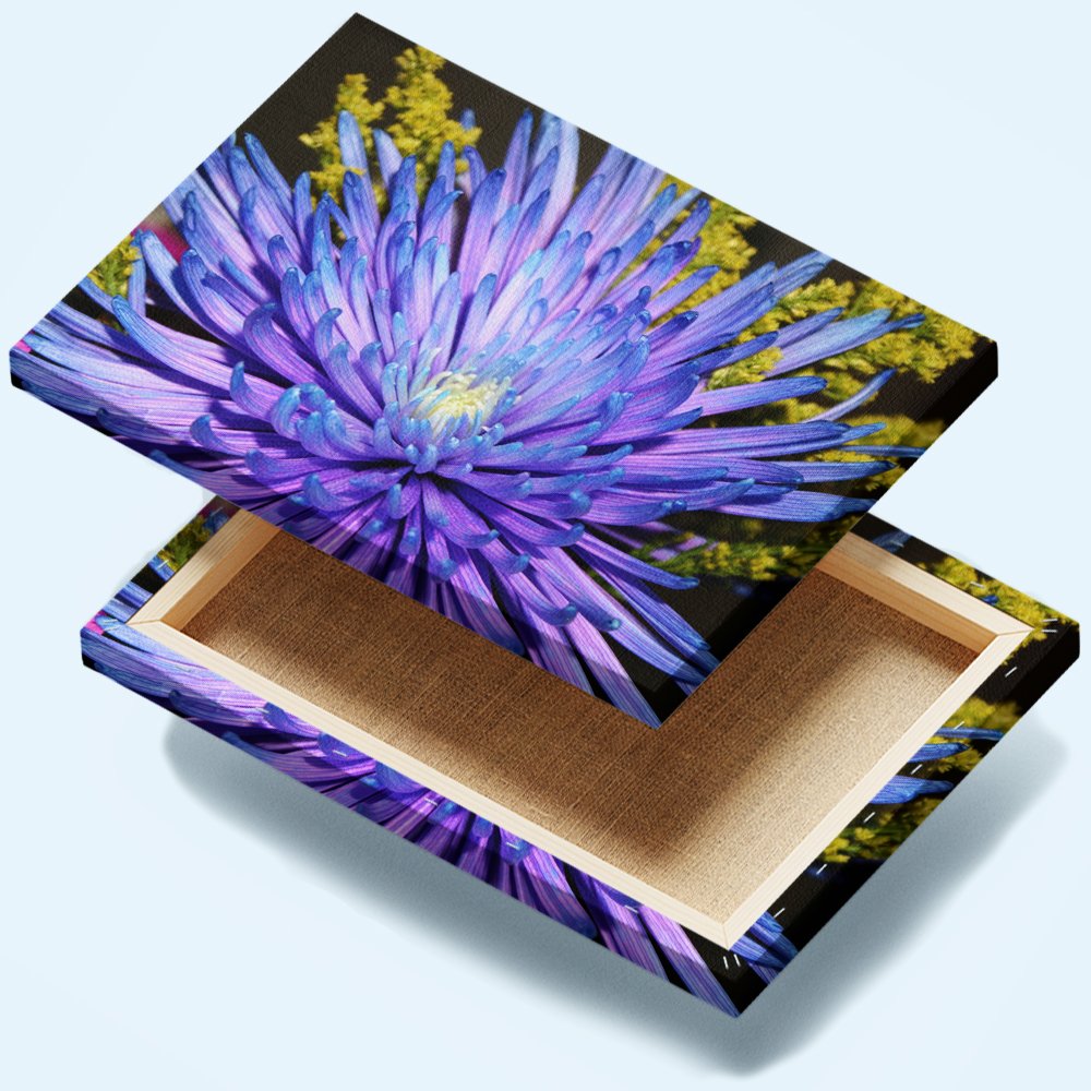 Aster del Cosmos Profundo Cuadro decorativo personalizado