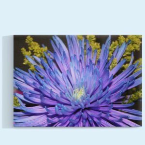 Aster del Cosmos Profundo Cuadro decorativo personalizado
