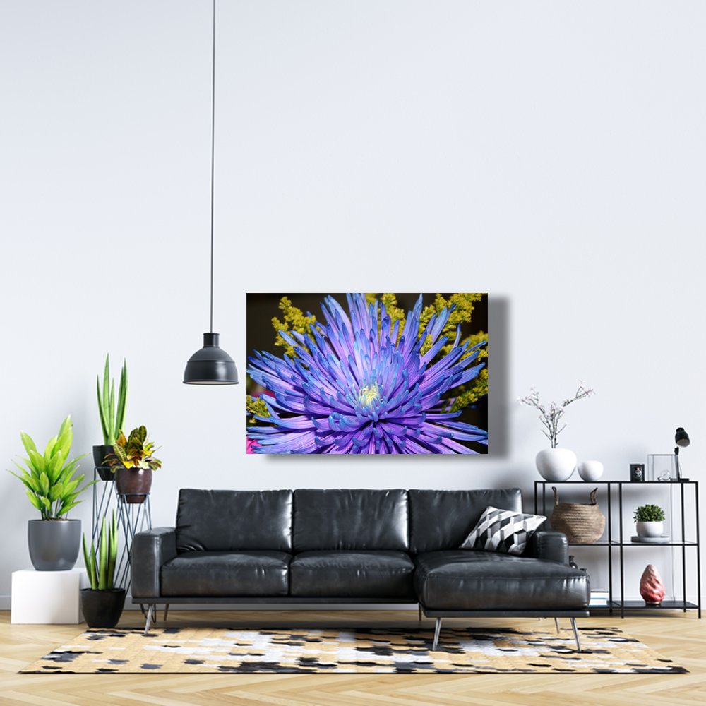 Aster del Cosmos Profundo Cuadro decorativo personalizado