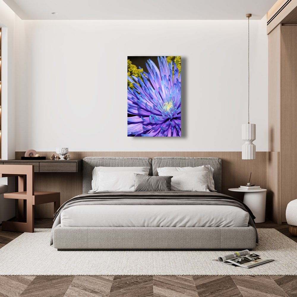 Aster del Cosmos Profundo Cuadro decorativo personalizado