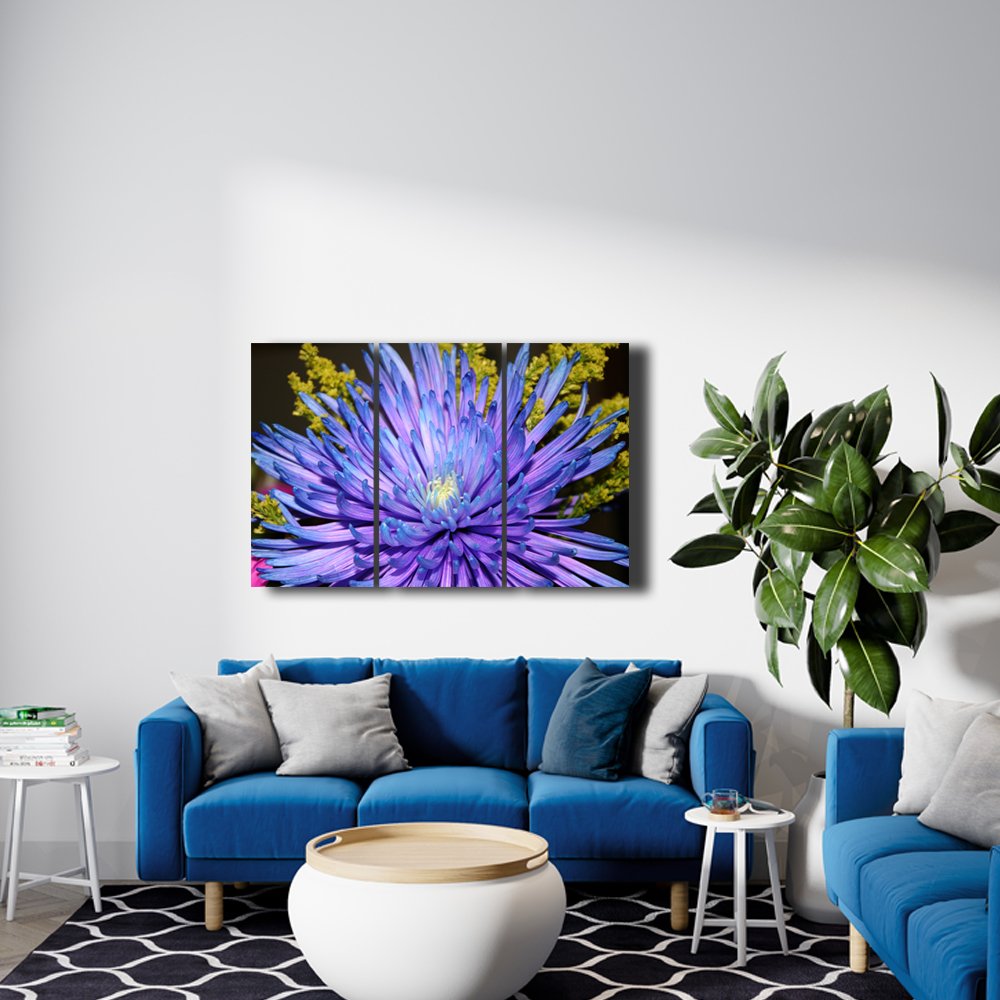 Aster del Cosmos Profundo Cuadro decorativo personalizado