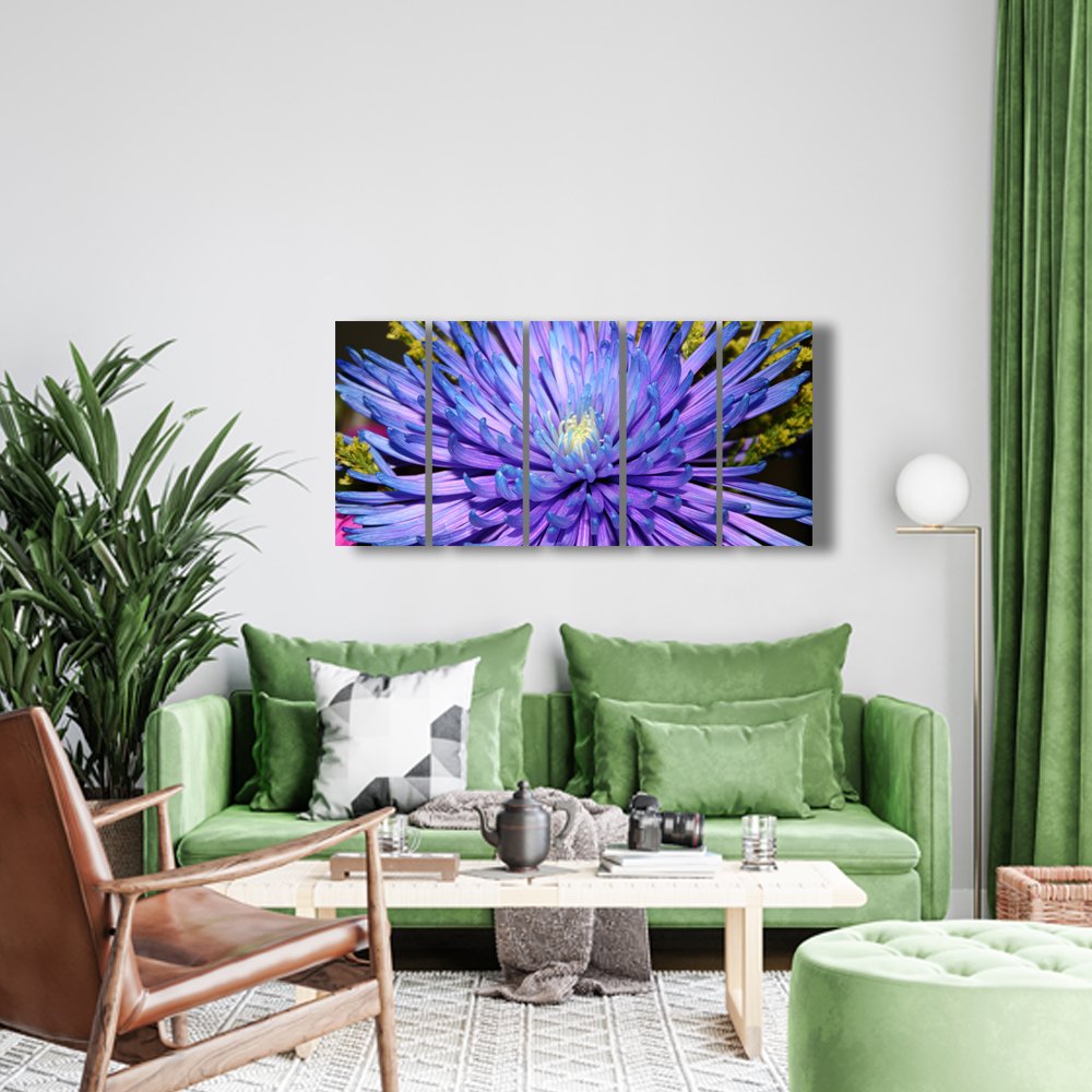 Aster del Cosmos Profundo Cuadro decorativo personalizado