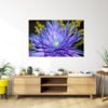 Aster del Cosmos Profundo Cuadro decorativo personalizado