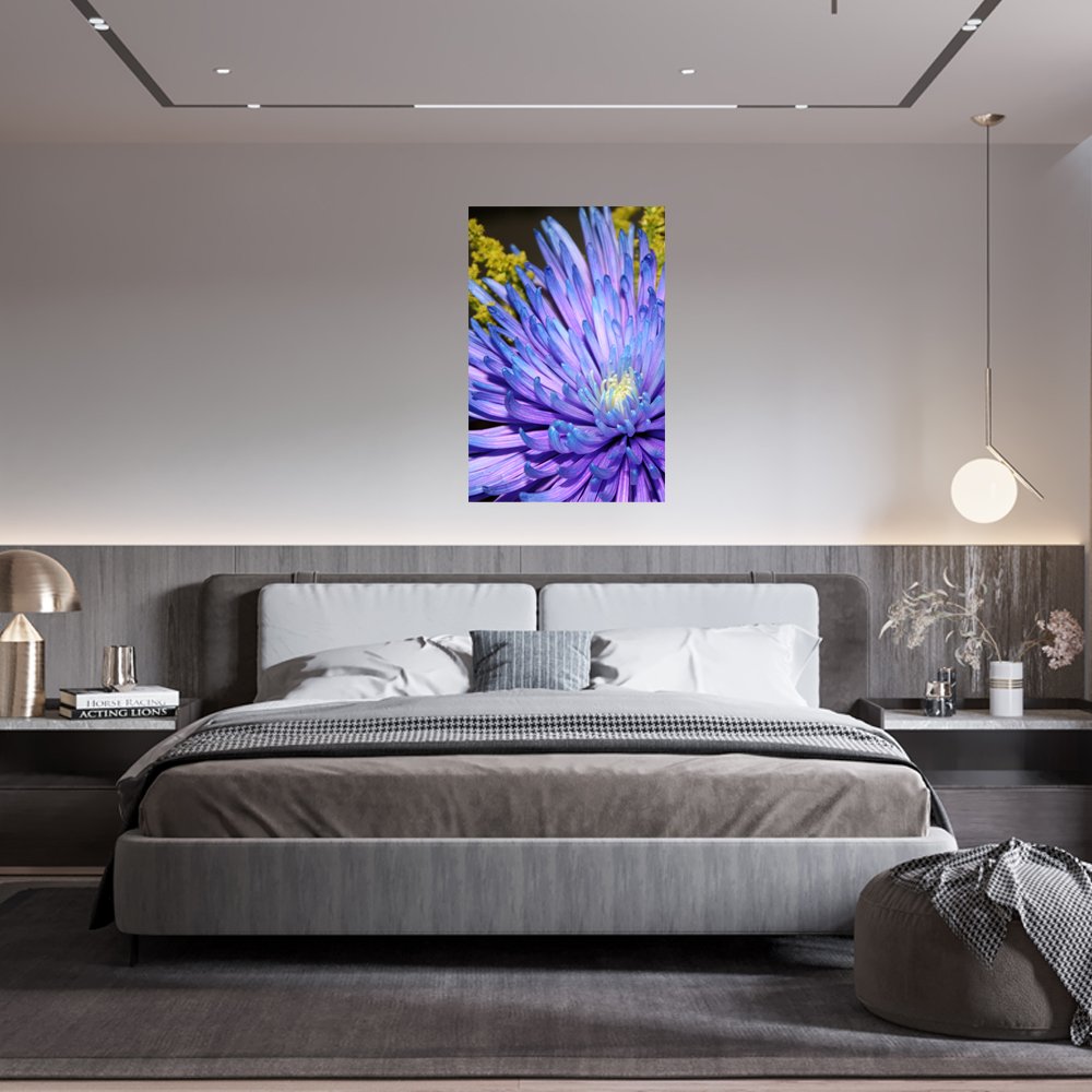 Aster del Cosmos Profundo Cuadro decorativo personalizado