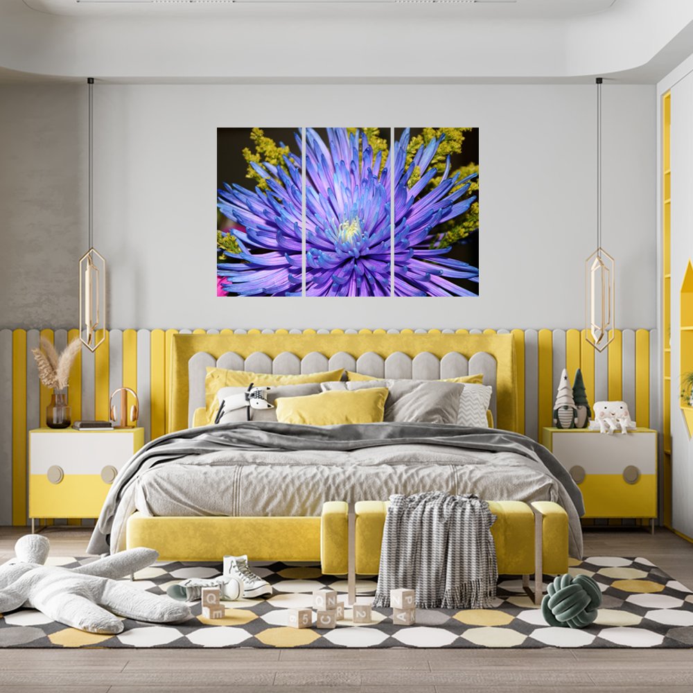 Aster del Cosmos Profundo Cuadro decorativo personalizado
